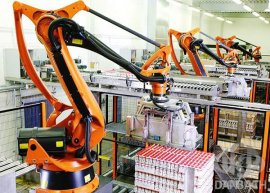 What industry is the palletizing robot suitable for?
